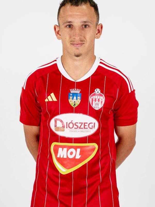 7. SILAGHI ROBERT